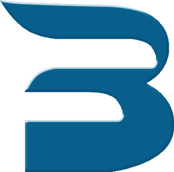 Baez Alers Foundation